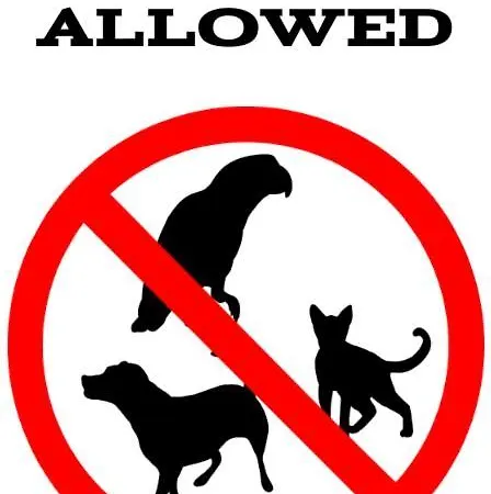 - Slowackiego Апартаменты Свиноуйсьце